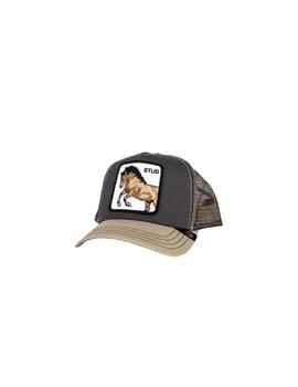 Gorra Goorin Bros Baseball Carryover You Stud