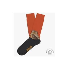 Thumb a17649 dut2nps6