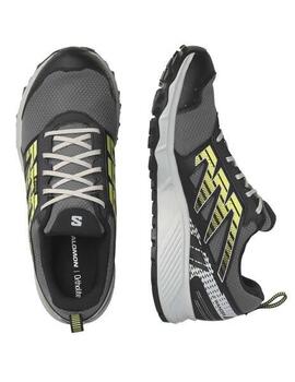 Salomon WANDER GTX GRIS