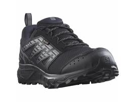  Salomon Wander GTX