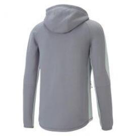 Chaqueta Puma Evostripe Full-zip gris