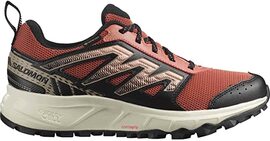 Salomon Wander GTX