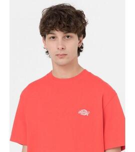 Camiseta Dickies Summerdale Roja