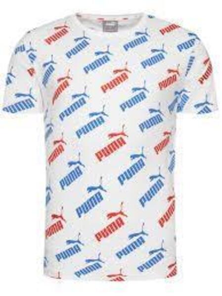 Camiseta Puma Amplified Blanco Para Hombre