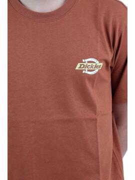 Camiseta  Dickies Ruston Naranja para Hombre