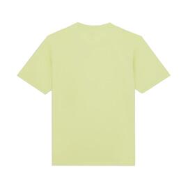 Camiseta  Dickies Mapleton Verde para Hombre