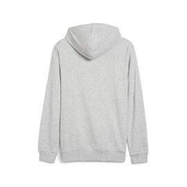 Sudadera Puma Essentials  2 Col small Gris