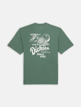 Camiseta para Hombre Dickies Raven  Verde