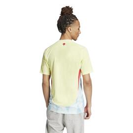 CAMISETA SEGUNDA EQUIPACIÓN ESPAÑA 24