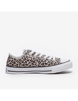 Zapatilla Mujer Converse All Star Ox  Leopardo