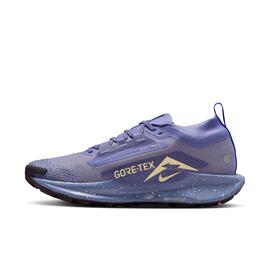 Zapatilla Trail para Mujer Nike Pegasus Trail 5 GTX