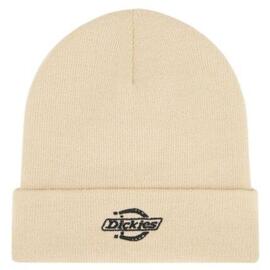 Gorro Dickies Summerdale Arena/Negro