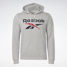 Sudadera Reebok RI FT Gris