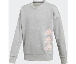 Sudadera Junior Adidas JG MH CREW Gris