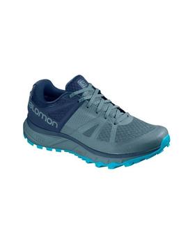 Zapatillas Trail Salomon Trailster GTX Azul/Gris